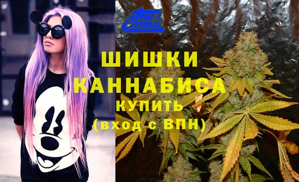 PSILOCYBIN Верхнеуральск