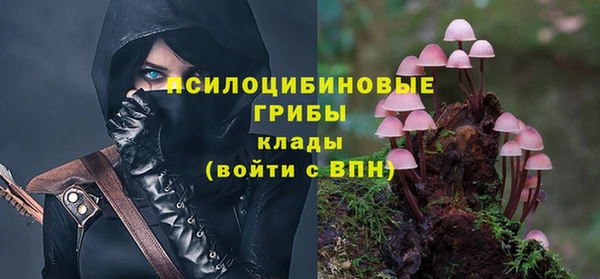 PSILOCYBIN Верхнеуральск