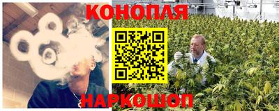 спиды Гатчина