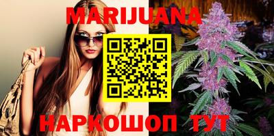 спиды Гатчина