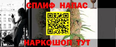 крисы Аргун