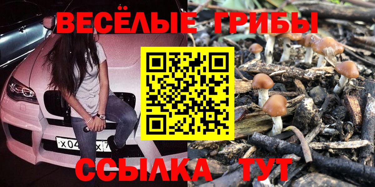 Галлюциногенные грибы MAGIC MUSHROOMS  Вход с VPN  Горячий Ключ 