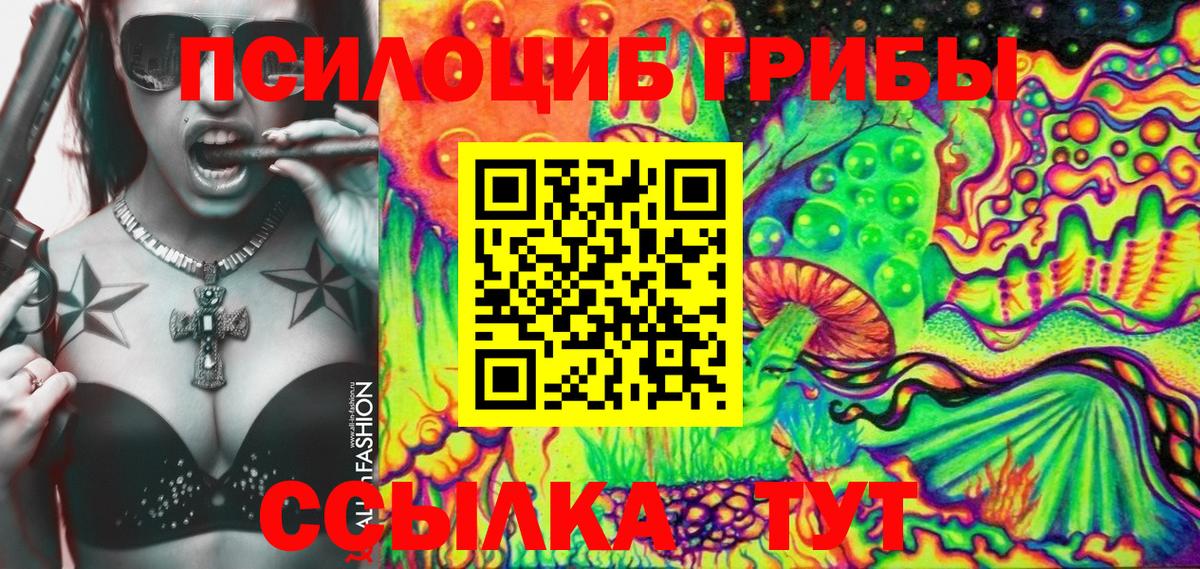 Псилоцибиновые грибы Psilocybe Горячий Ключ